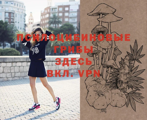 винт Бронницы