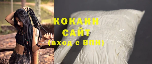 ПСИЛОЦИБИНОВЫЕ ГРИБЫ Бородино