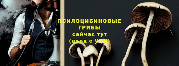 винт Бронницы