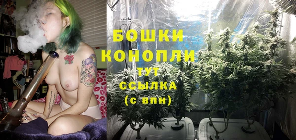 ПСИЛОЦИБИНОВЫЕ ГРИБЫ Бородино
