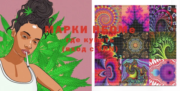 ПСИЛОЦИБИНОВЫЕ ГРИБЫ Бородино
