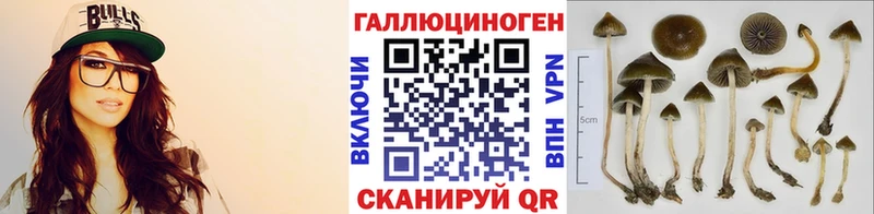 Псилоцибиновые грибы Psilocybine cubensis  цена   Константиновск 